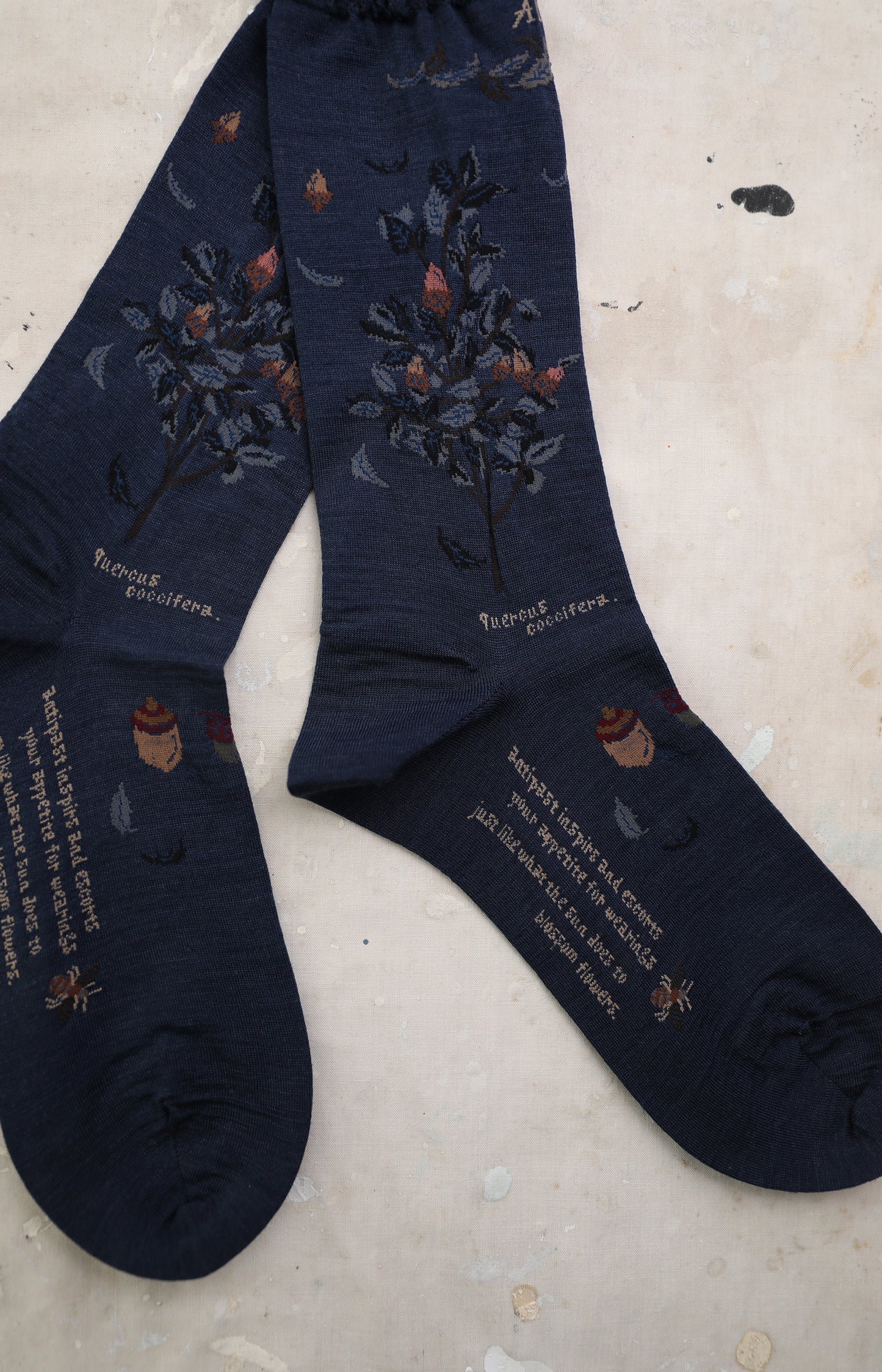 Navy Wind & Acorn Socks