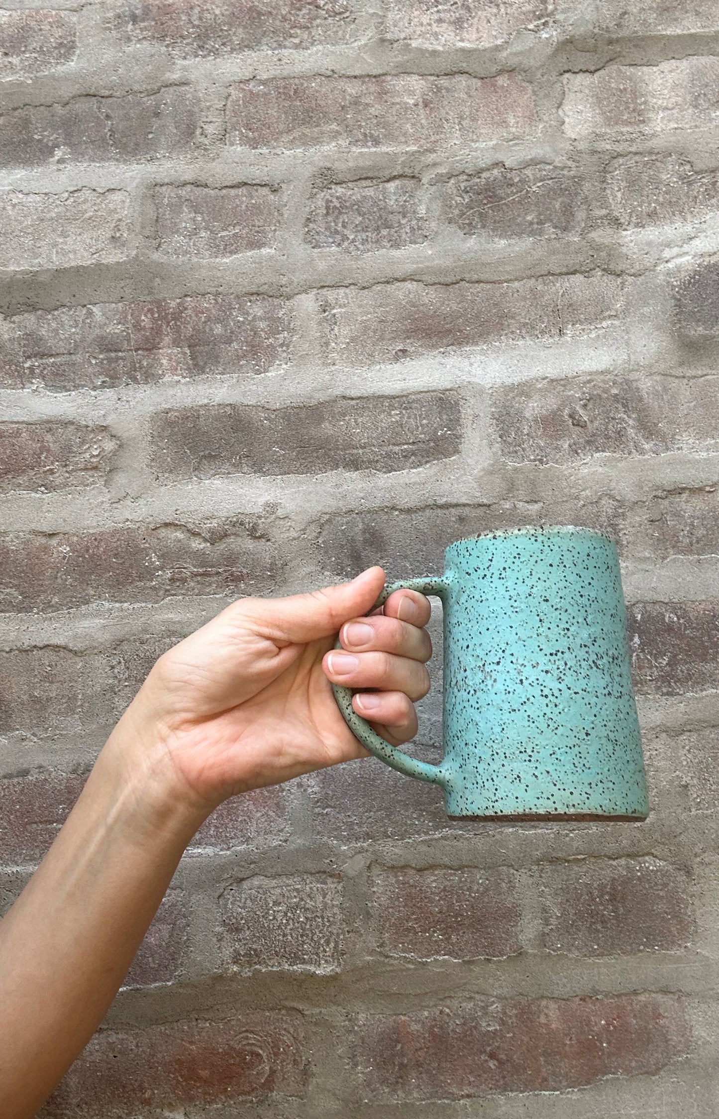 Matte Speckle Mug
