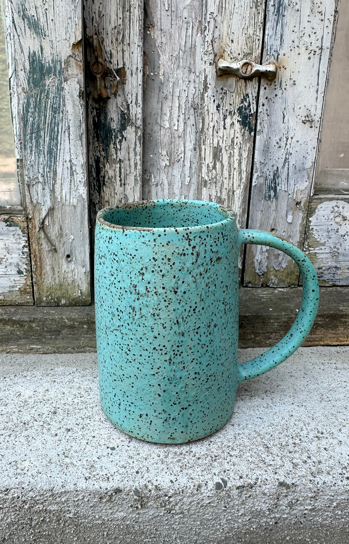 Matte Speckle Mug