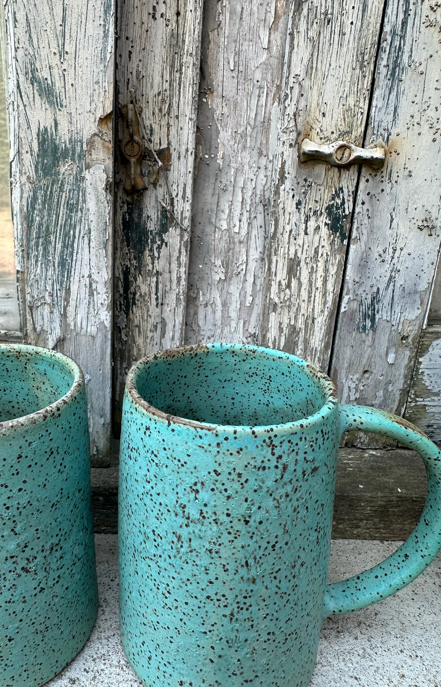 Matte Speckle Mug