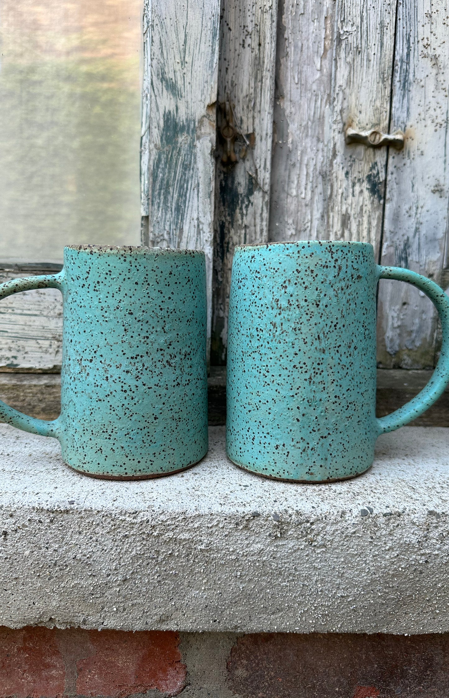 Matte Speckle Mug