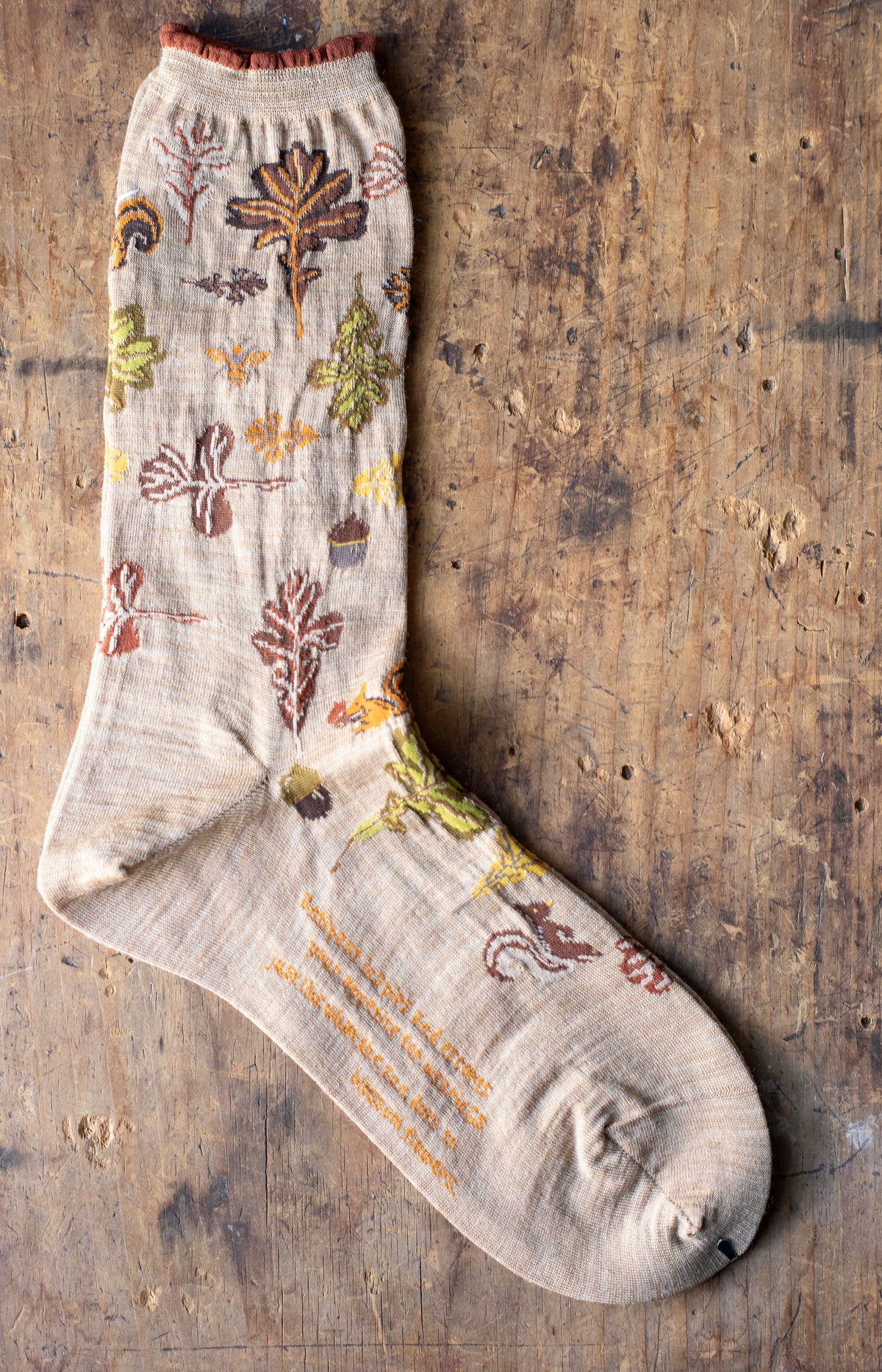 Beige Autumn Park Socks