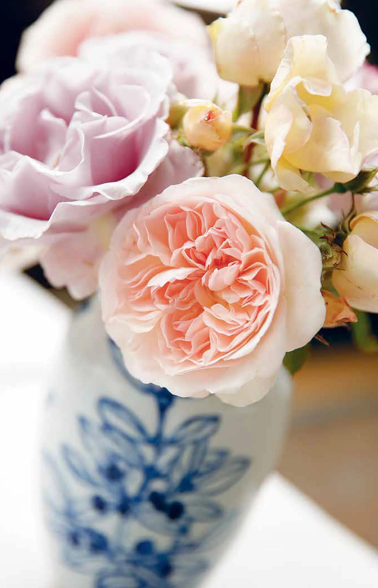 The London Plane Flower & Cook Book