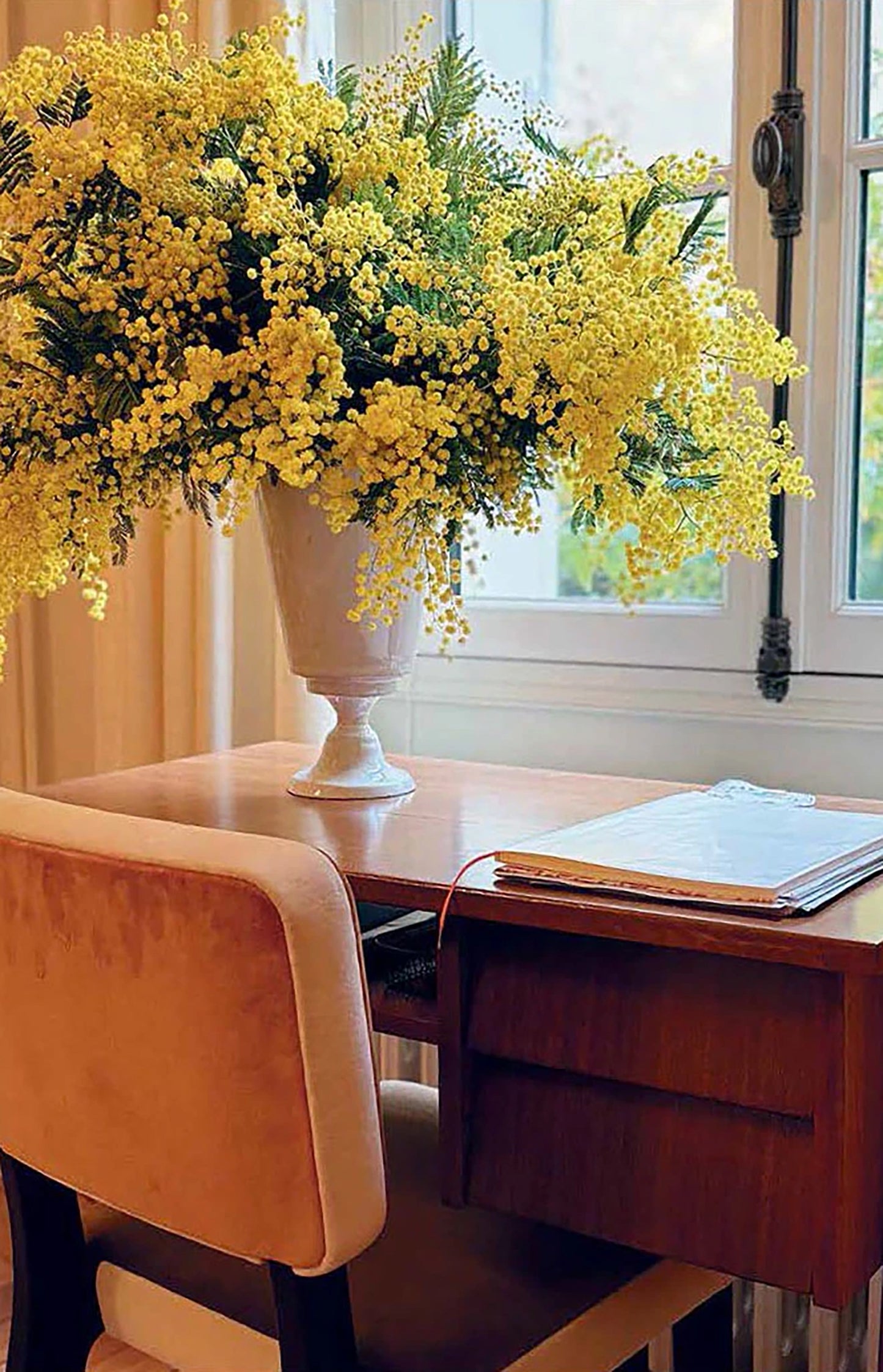 The London Plane Flower & Cook Book