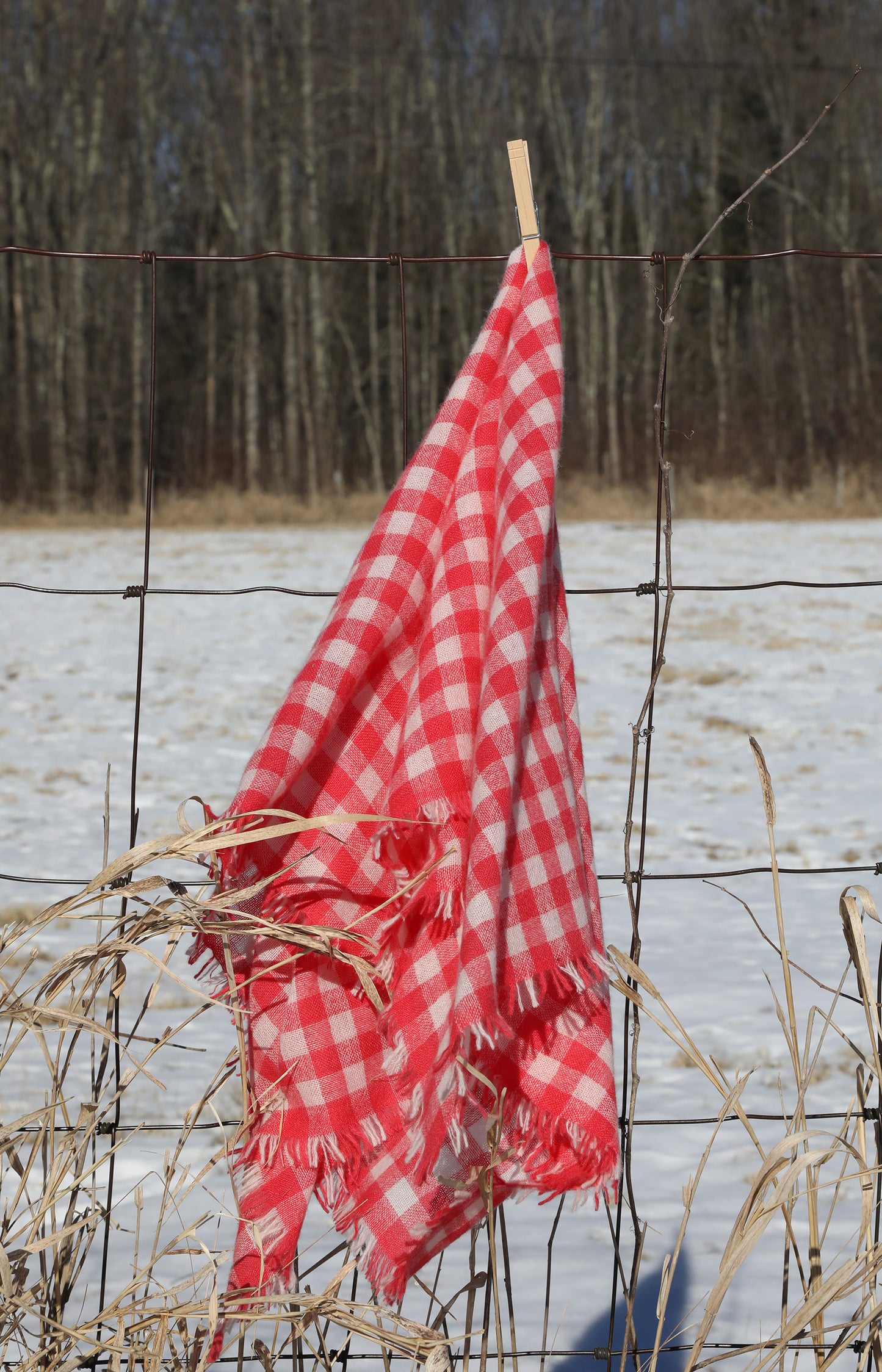 Strawberry & Ivory Check Cashmere Scarf