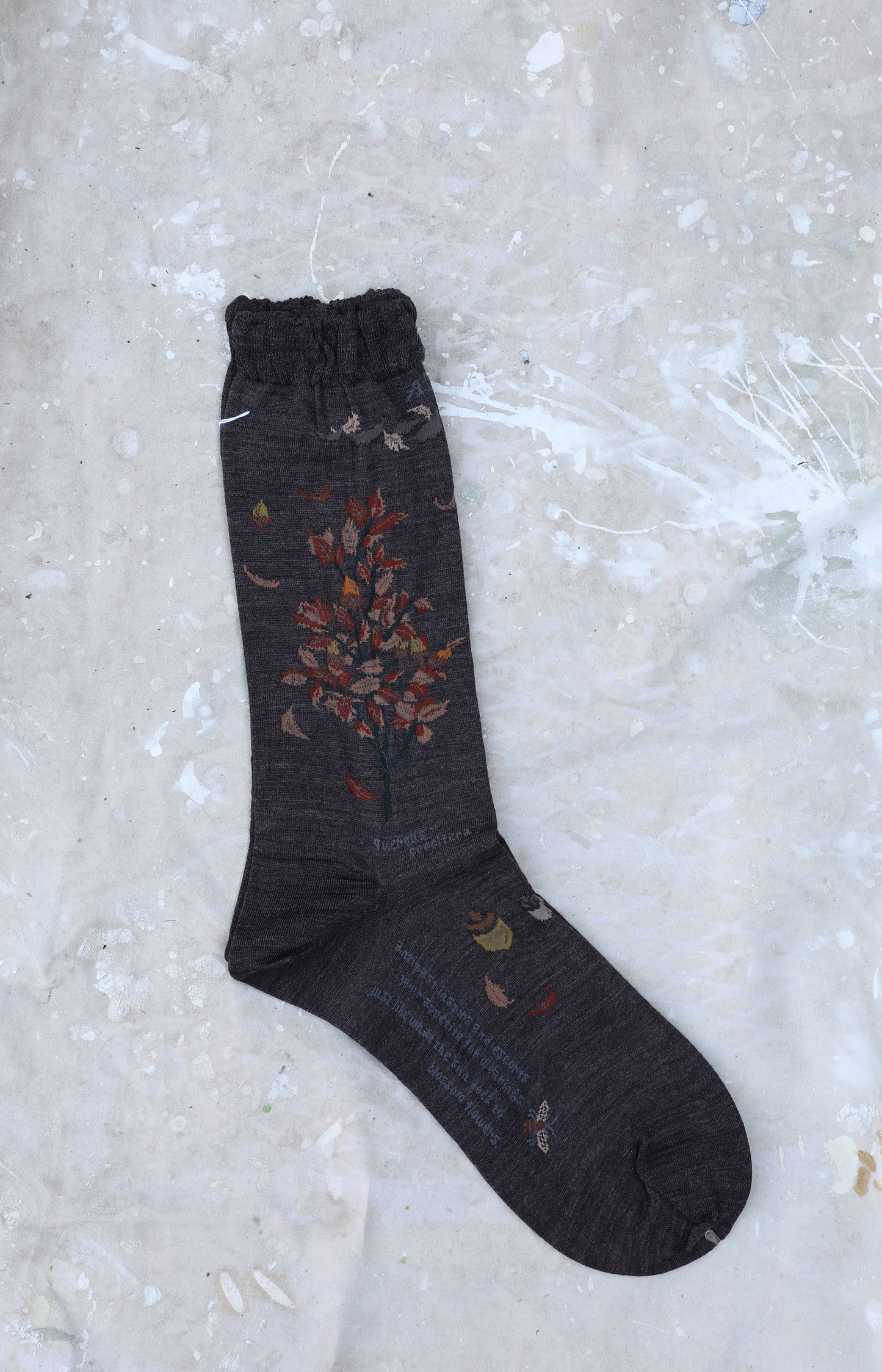 Dark Brown Wind & Acorn Socks
