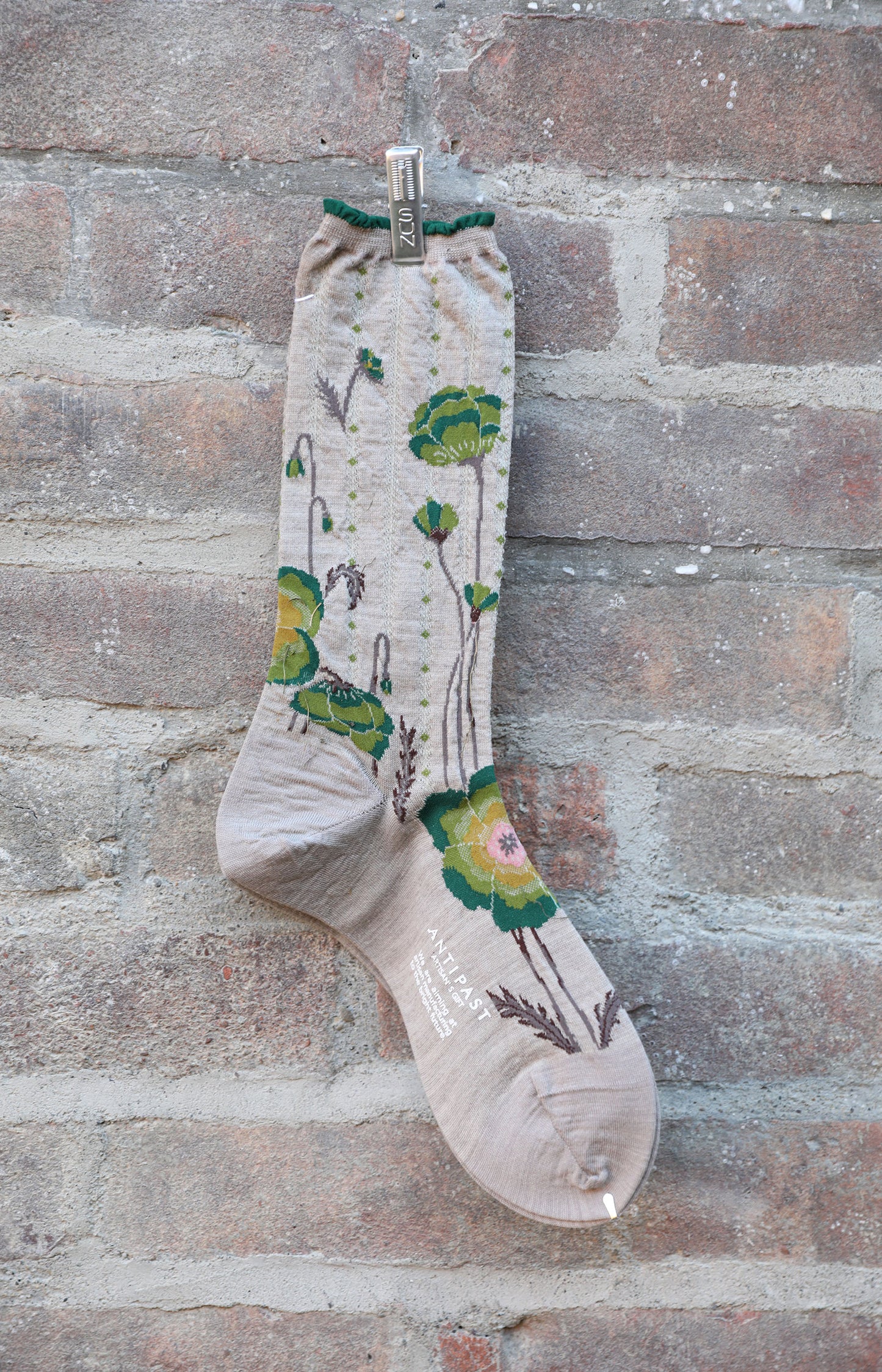 Greige Bold Blooms Socks