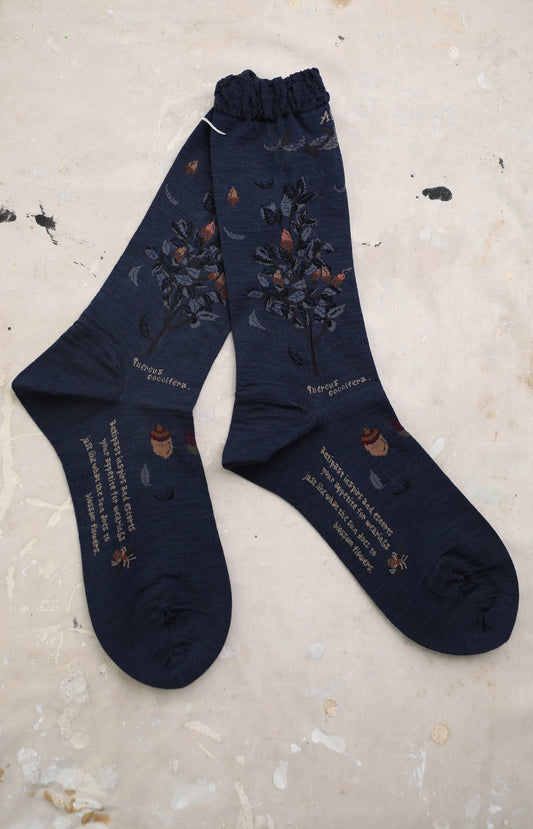 Navy Wind & Acorn Socks