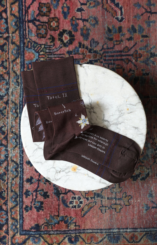 Dark Brown Compression Socks