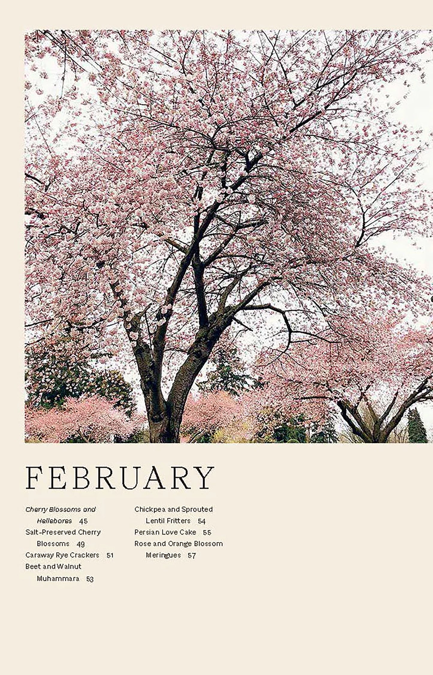 The London Plane Flower & Cook Book