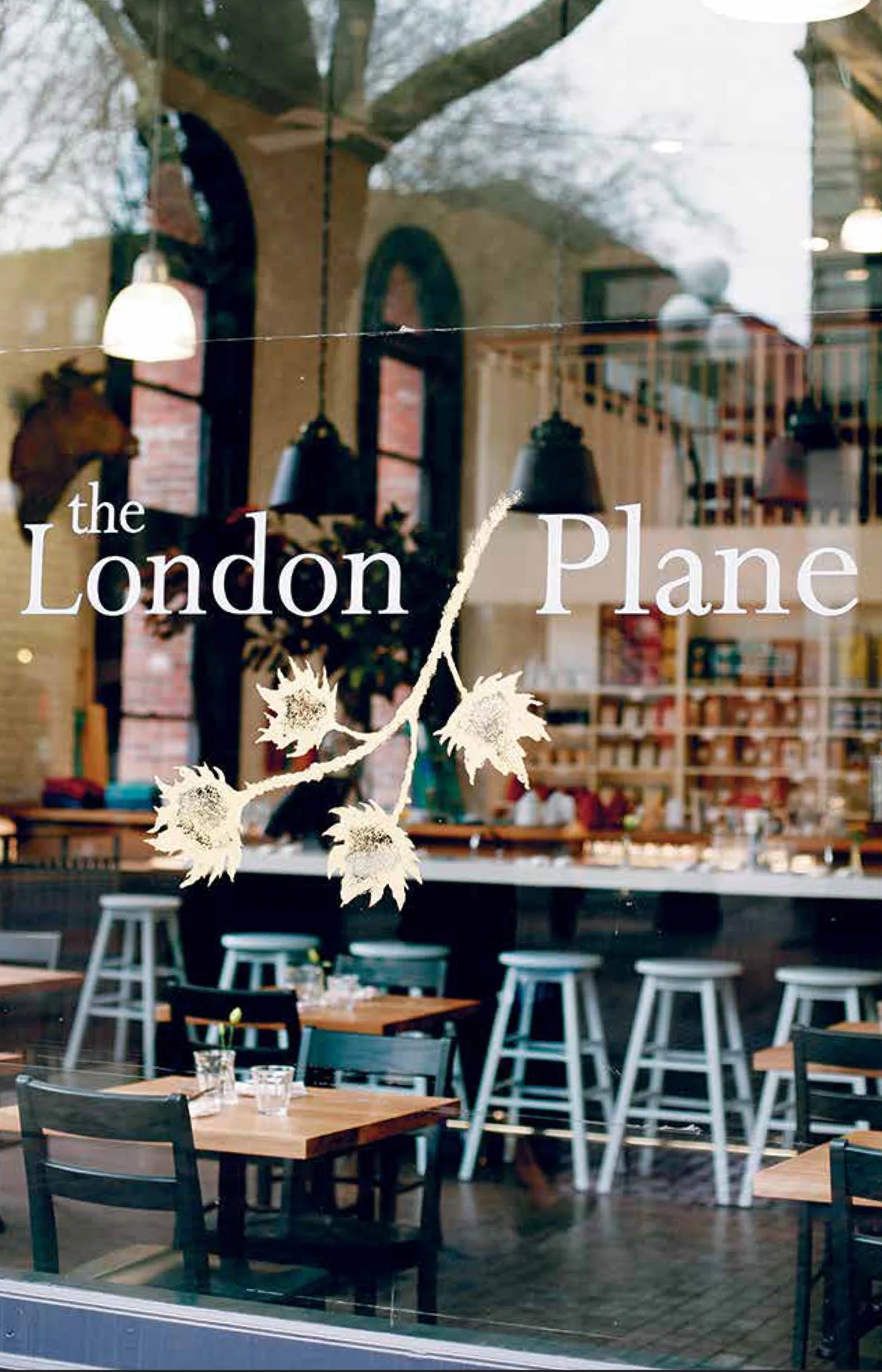 The London Plane Flower & Cook Book