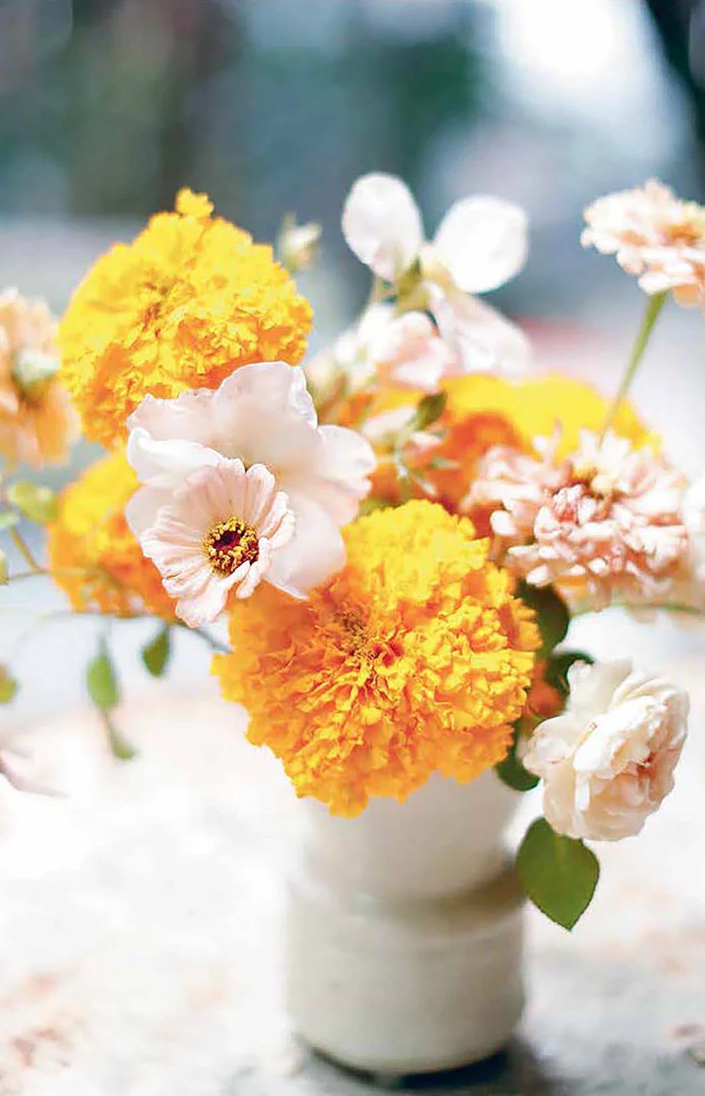 The London Plane Flower & Cook Book