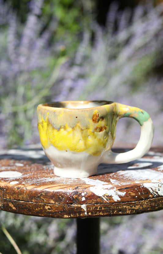 Ceramic Mug #19