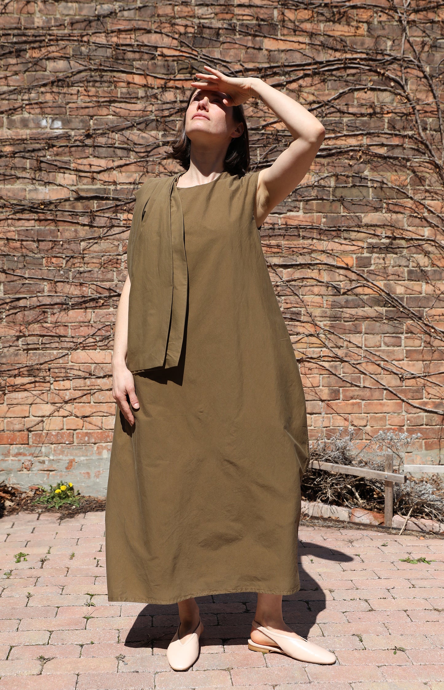 Bronzo Moss Poplin Dress