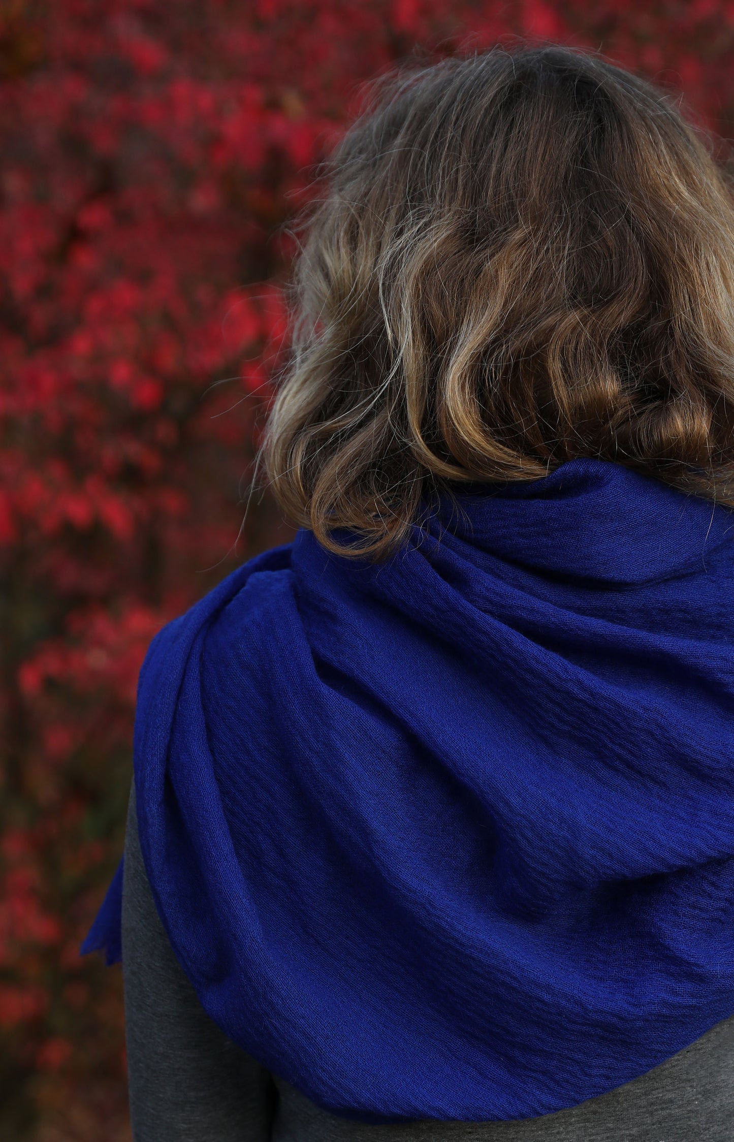 Royal Blue Prince Light Scarf