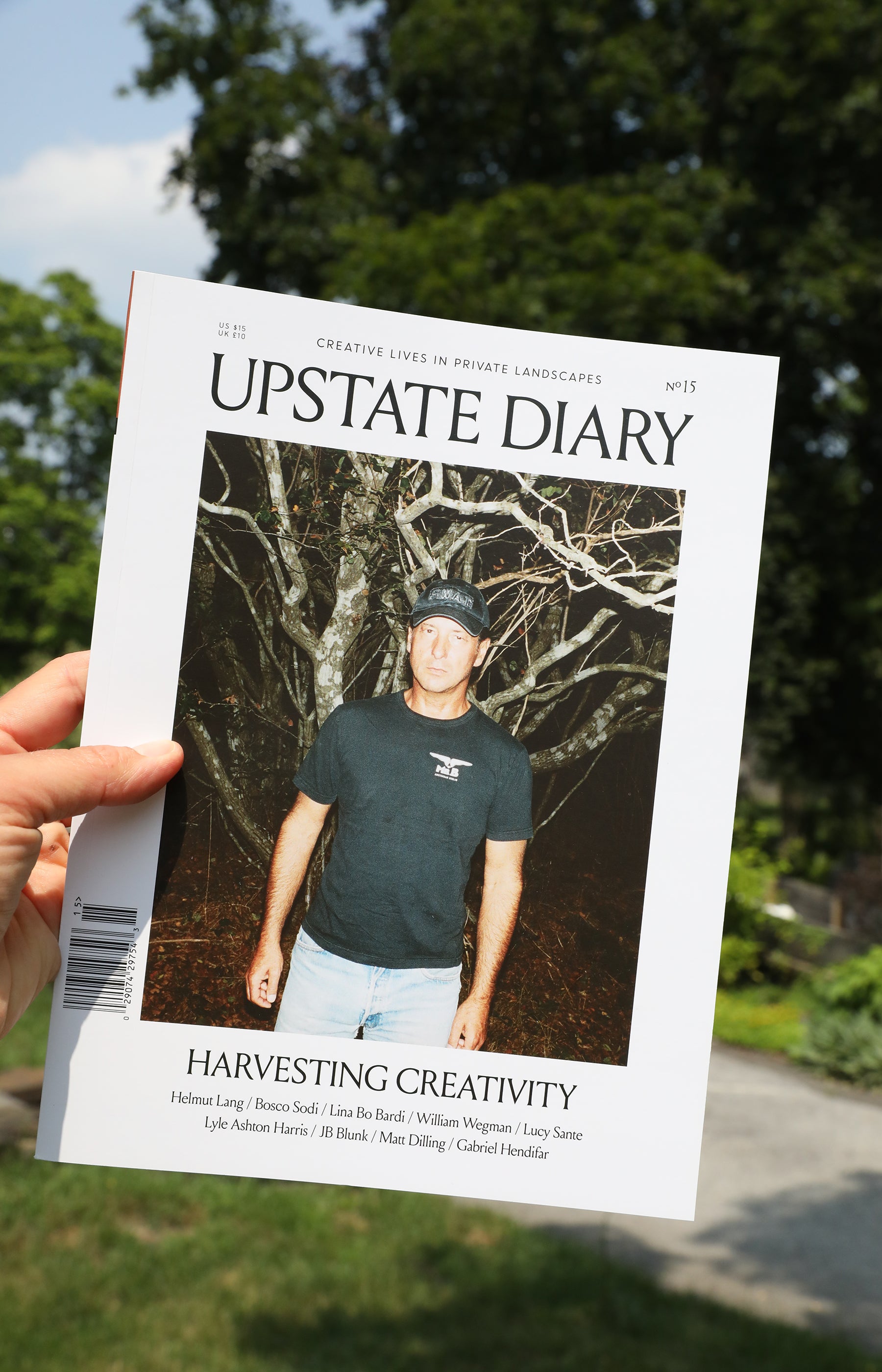 Upstate Diary No. 15
