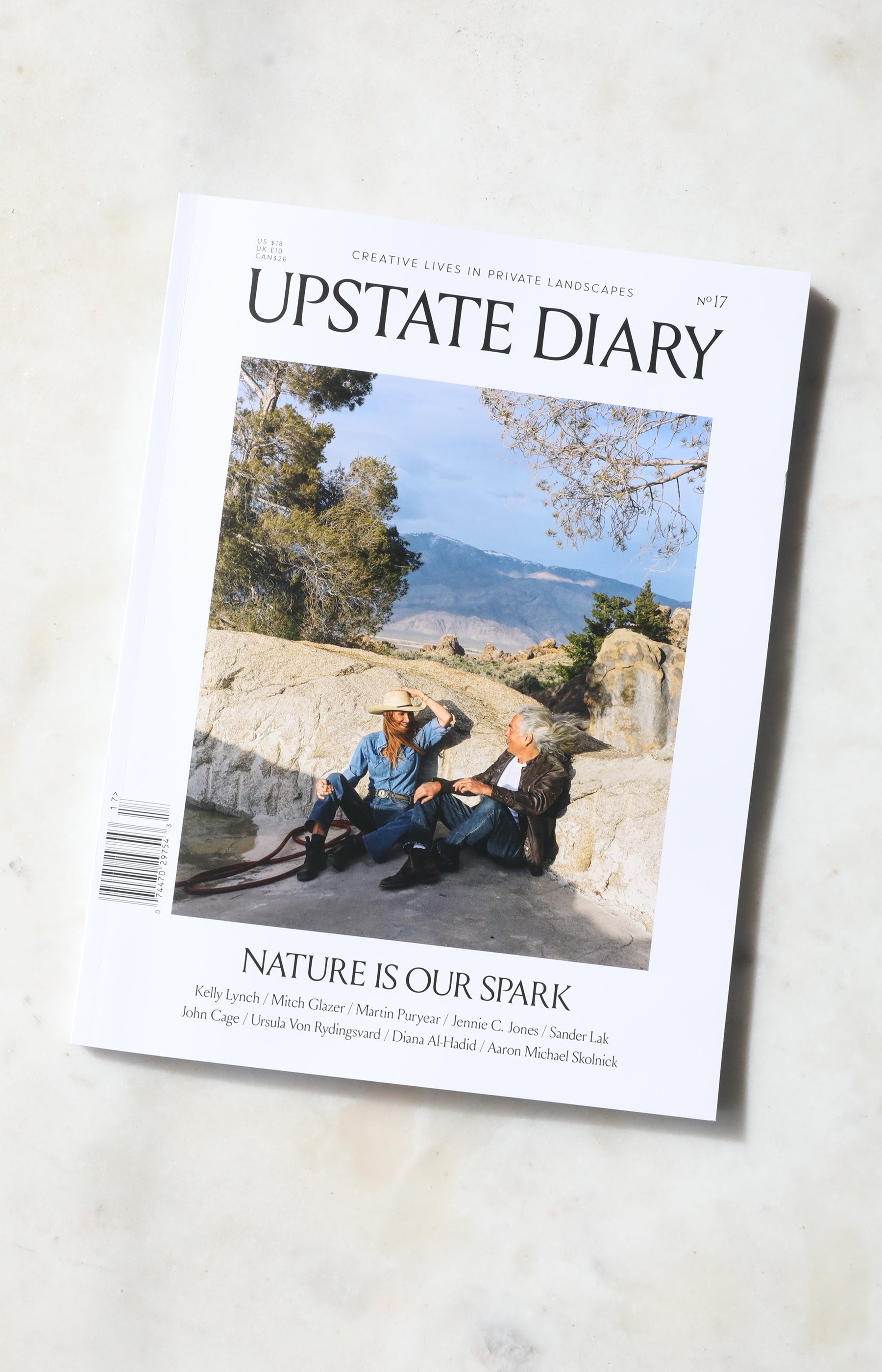 Upstate Diary No. 17